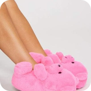 Teddy bear slippers  Women